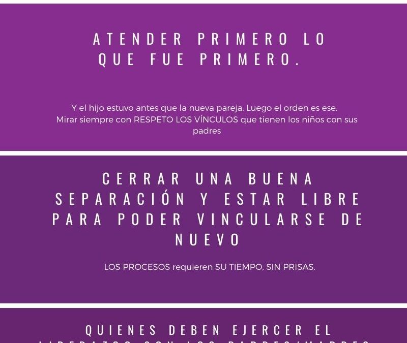 LA NUEVA RELACIÓN: LAS MADRASTRAS