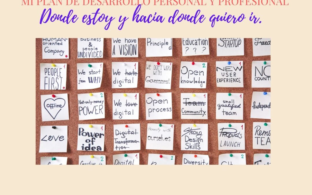 “MI PROYECTO DE DESARROLLO PERSONAL Y PROFESIONAL CONSCIENTE”.